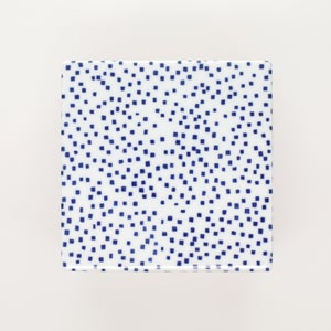 重箱 中＋蓋 2段セット 呉須 / 赤絵 0132