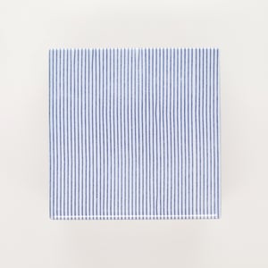 重箱 中＋蓋 2段セット 呉須 / 赤絵 0149