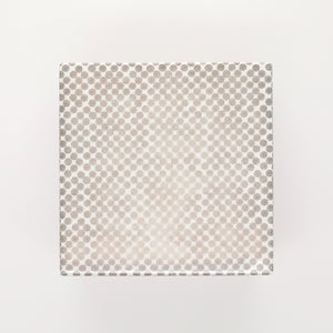 重箱 中＋蓋 2段セット 銀 / 赤絵 0029